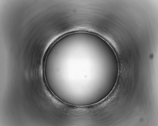 X0000099940888200805231018