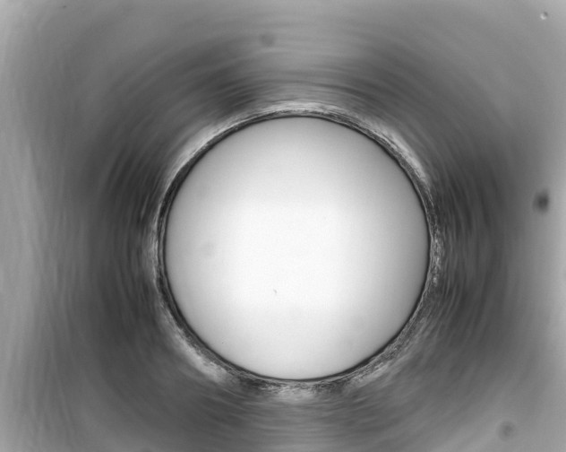 X0000099940890200805231018