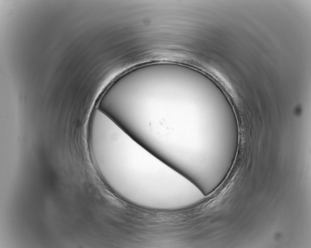 X0000099940891200805231018