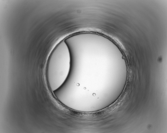 X0000099940895200805231018