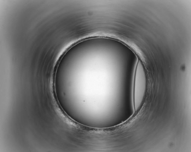 X0000099940896200805231018