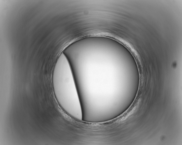 X0000099940897200805231018