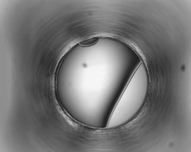 X0000099940898200805231018