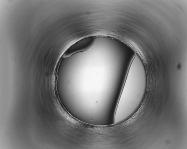 X0000099940900200805231018