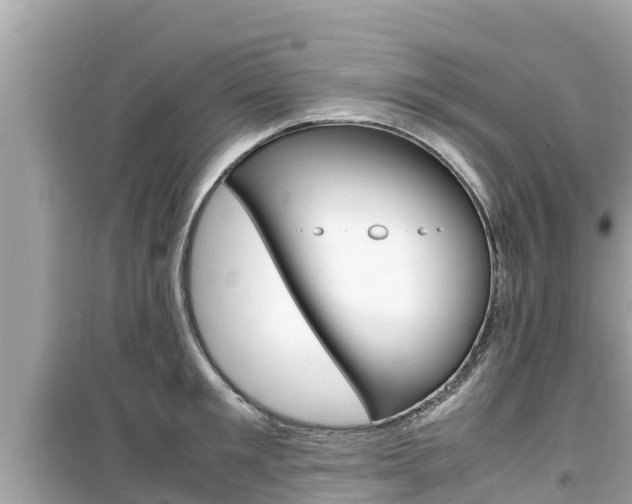 X0000099940901200805231018