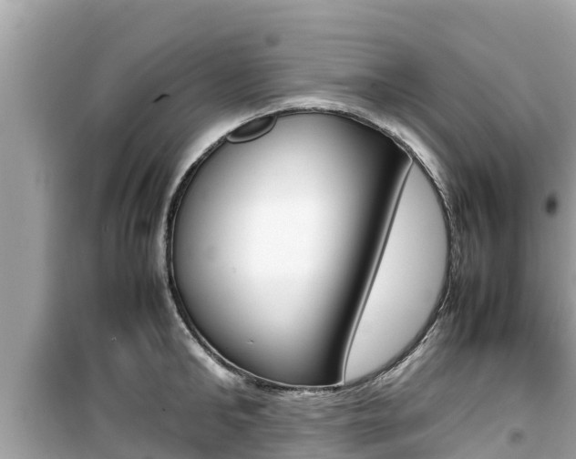 X0000099940902200805231018