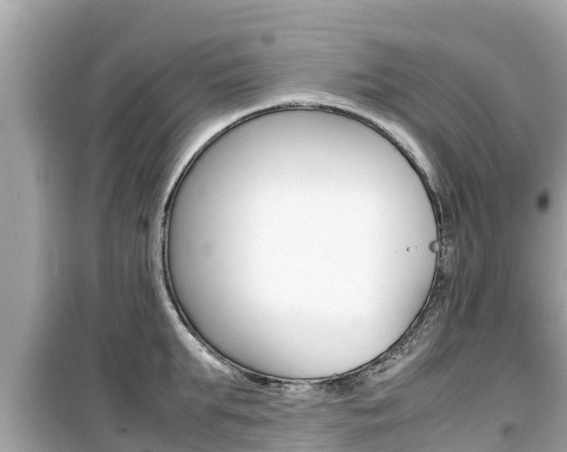 X0000099940903200805231018