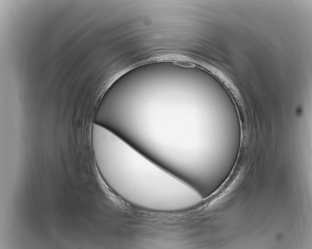 X0000099940905200805231018