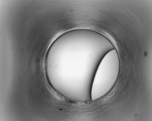 X0000099940907200805231018