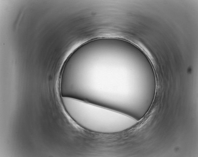 X0000099940909200805231018