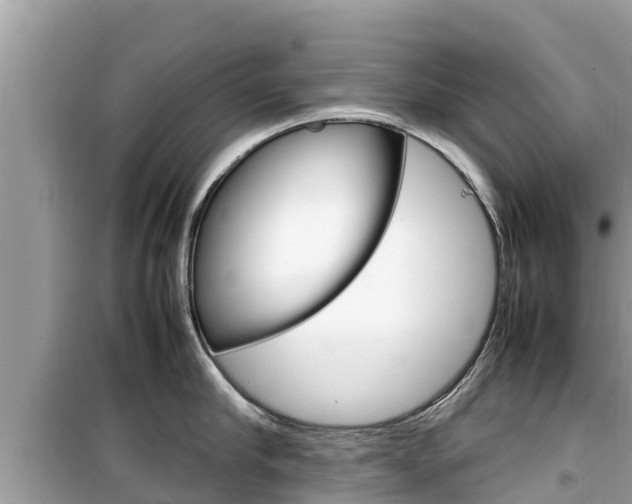 X0000099940910200805231018
