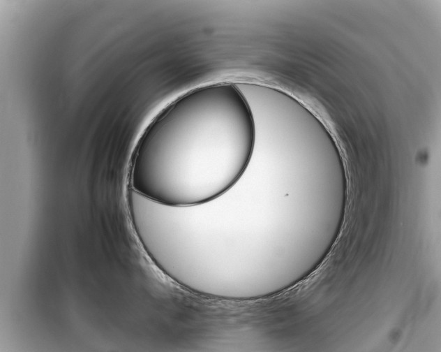 X0000099940912200805231018