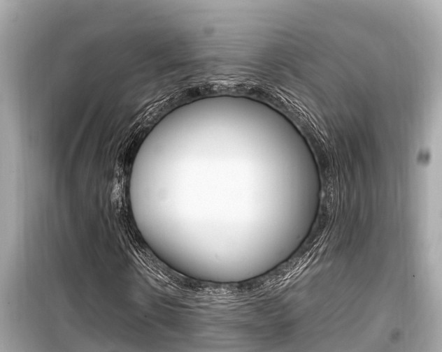 X0000099940914200805231017