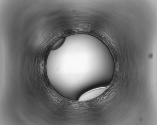 X0000099940915200805231017