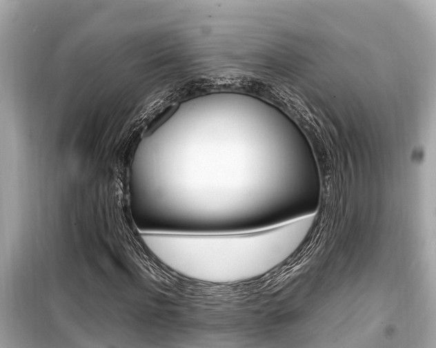 X0000099940916200805231017