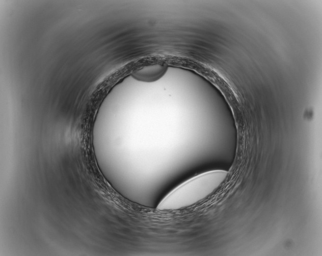 X0000099940919200805231017