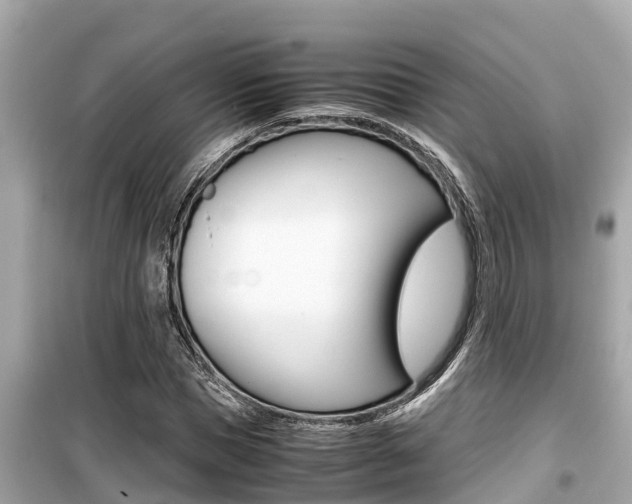 X0000099940921200805231018