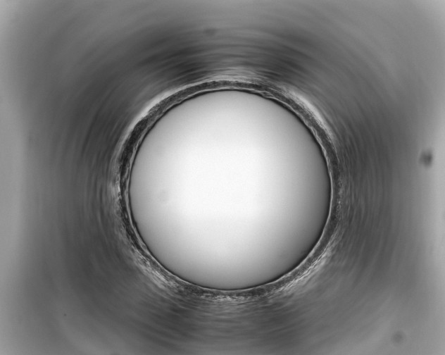 X0000099940923200805231018