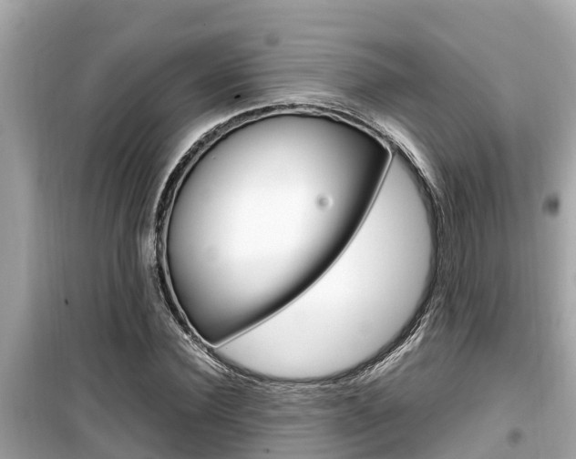 X0000099940924200805231018