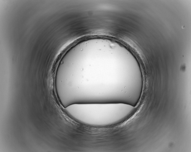 X0000099940925200805231018