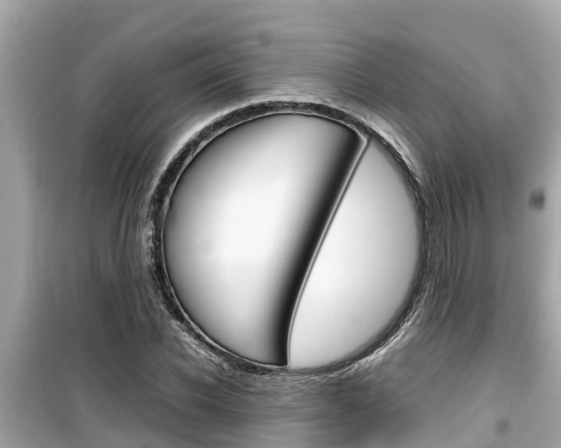 X0000099940926200805231018
