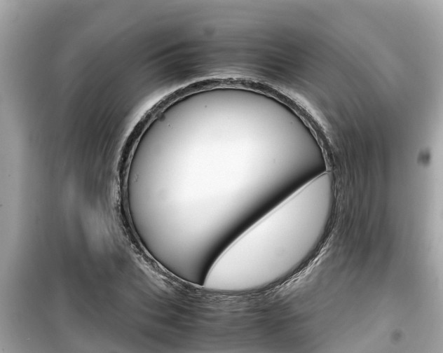 X0000099940927200805231018