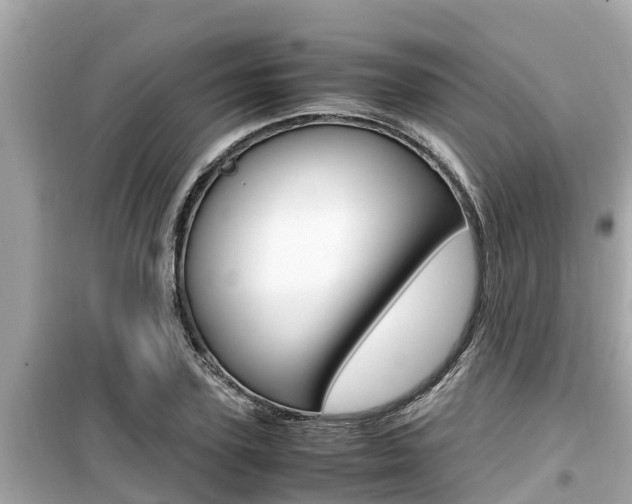 X0000099940931200805231018