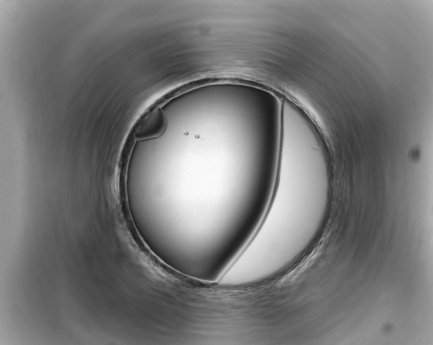 X0000099940932200805231018