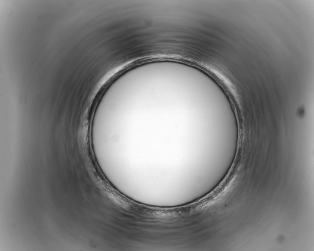 X0000099940933200805231018