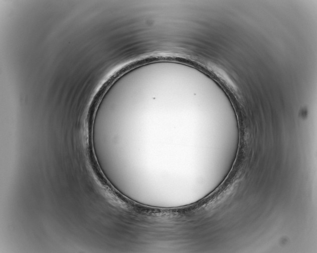 X0000099940934200805231018