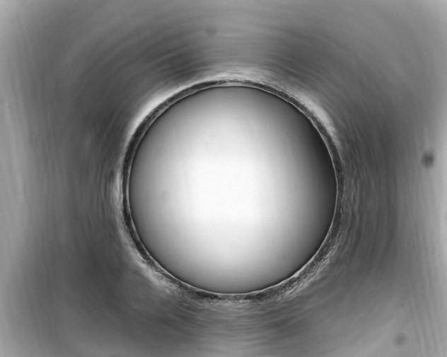 X0000099940936200805231018