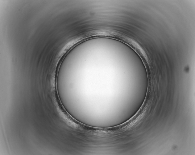 X0000099940938200805231018