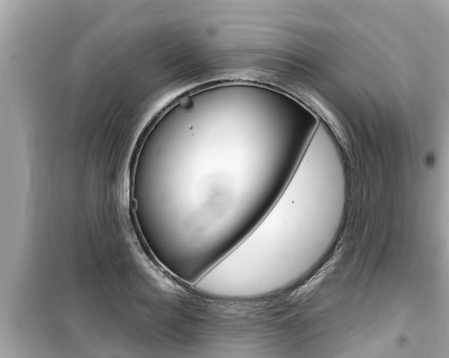 X0000099940940200805231018