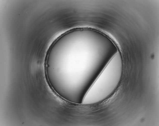 X0000099940943200805231018