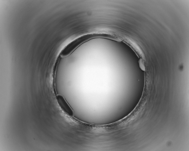X0000099940944200805231018