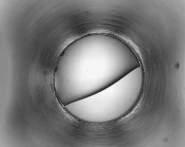 X0000099940945200805231018