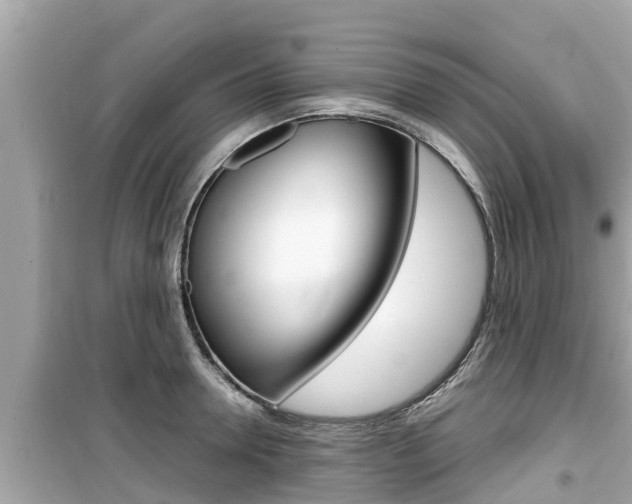 X0000099940946200805231018