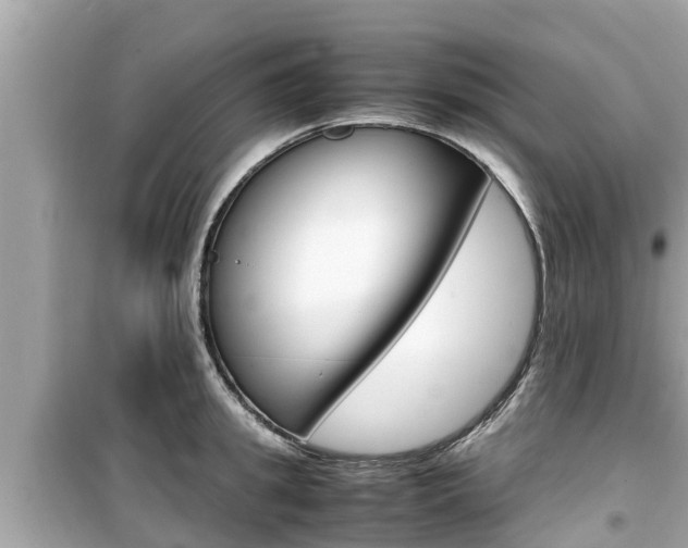 X0000099940949200805231018