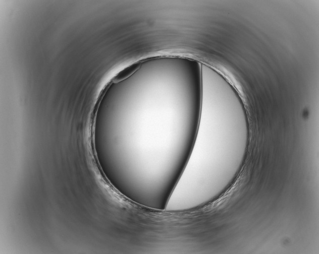 X0000099940952200805231018
