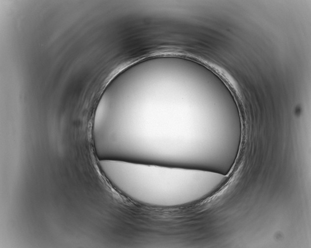 X0000099940953200805231018
