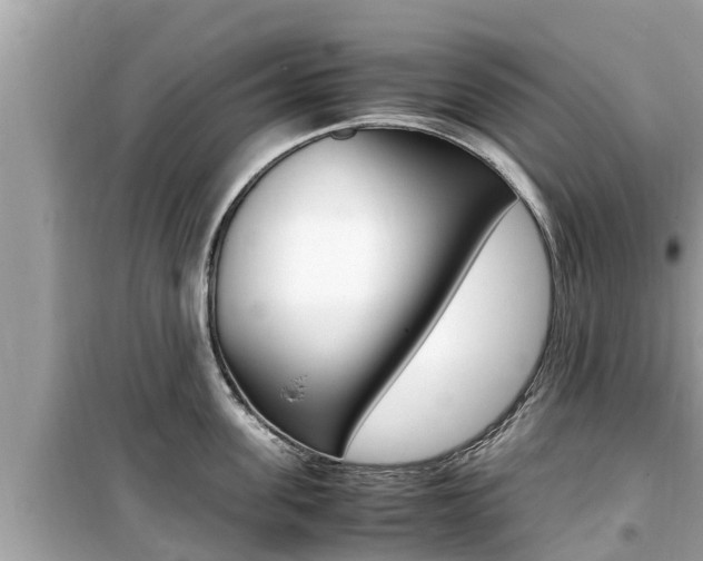 X0000099940955200805231018