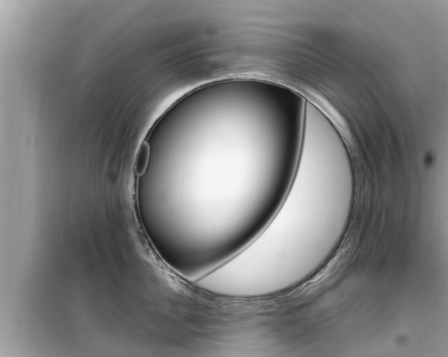 X0000099940956200805231018