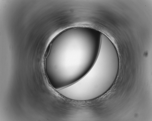 X0000099940960200805231018