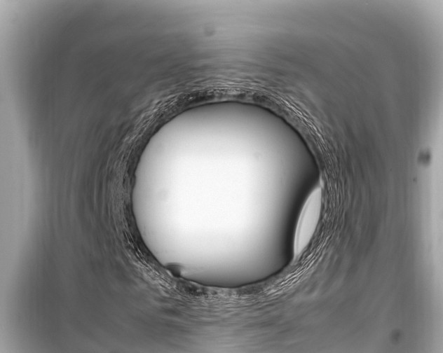 X0000099940961200805231017
