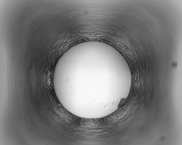 X0000099940962200805231017