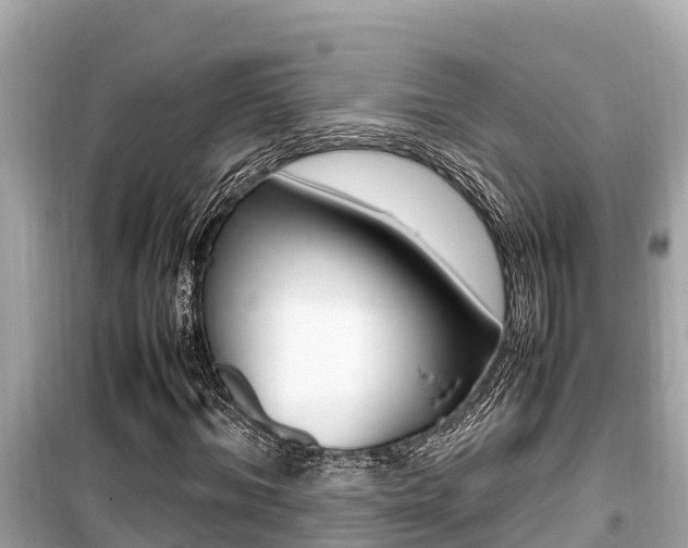 X0000099940964200805231017