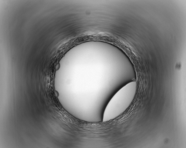 X0000099940966200805231017
