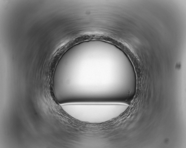 X0000099940967200805231017
