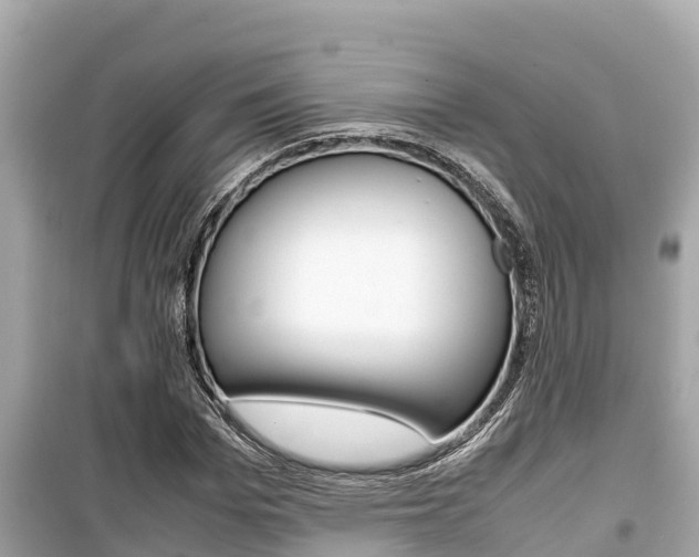 X0000099940969200805231017