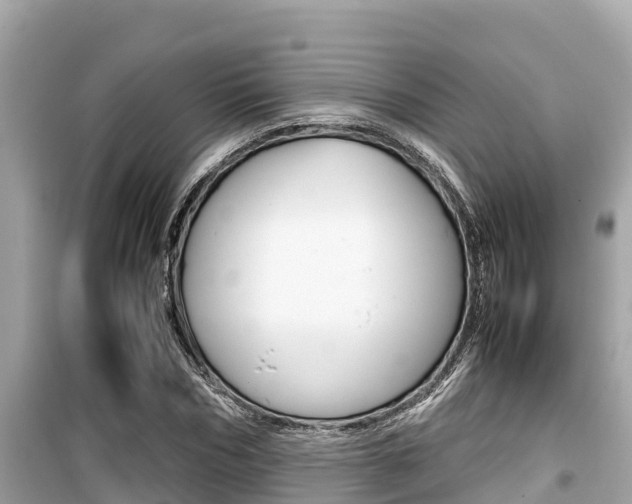 X0000099940970200805231017